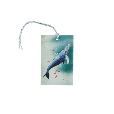 Whale Gift Tags - 4 Pack