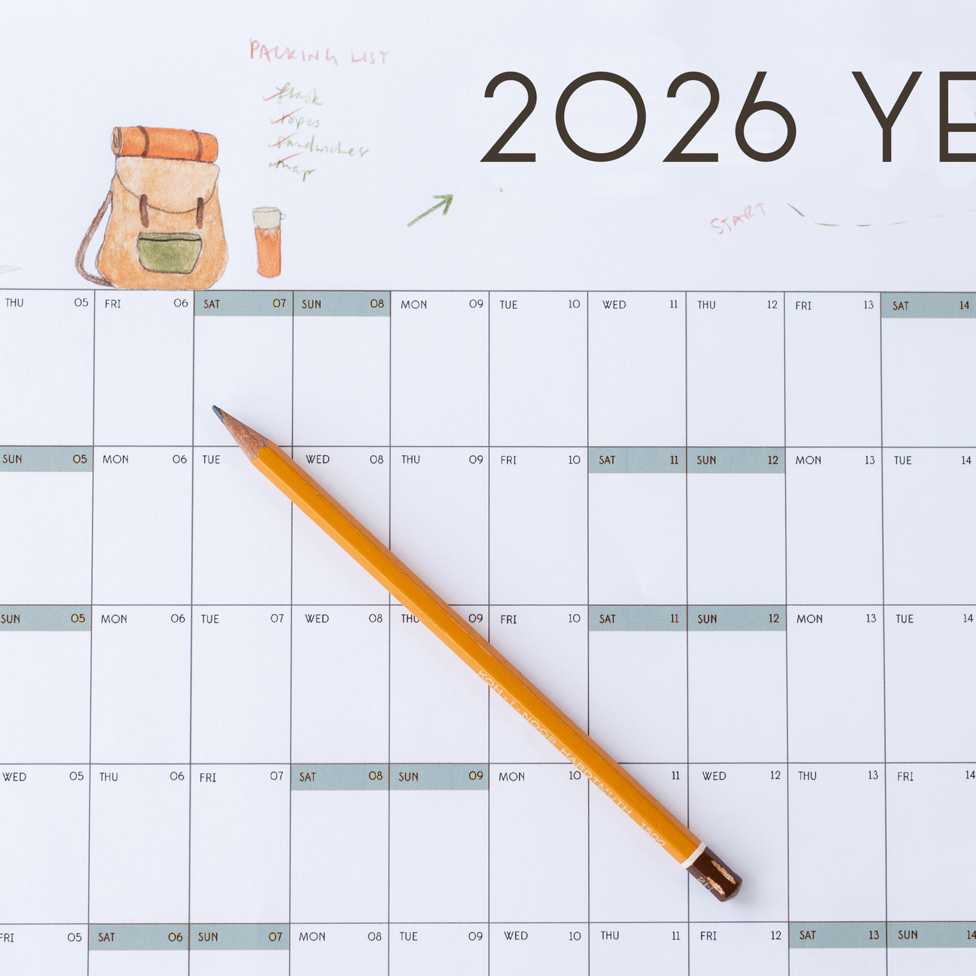 Pre order! 2026 Mouse Year Planner