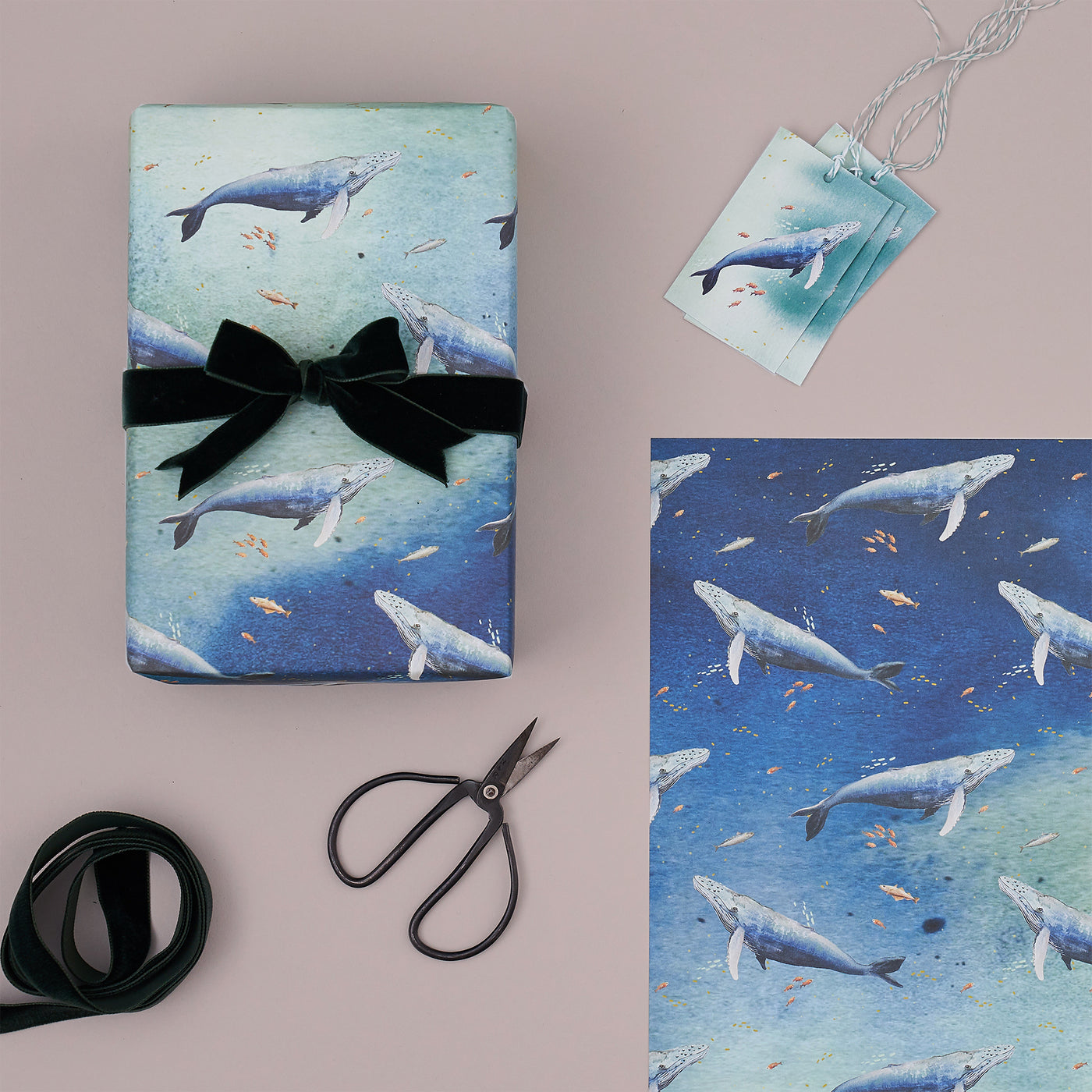 Whale Wrapping Paper