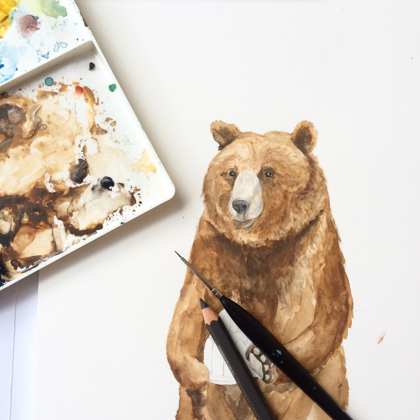 Work in progress bear illustration with brush and pencil