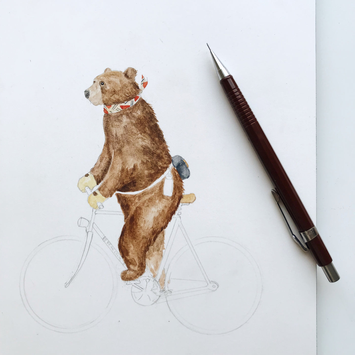 Bearcycle ride illustration hand drawn