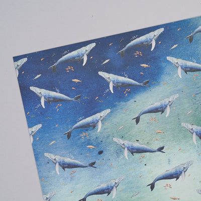 Whale Wrapping Paper